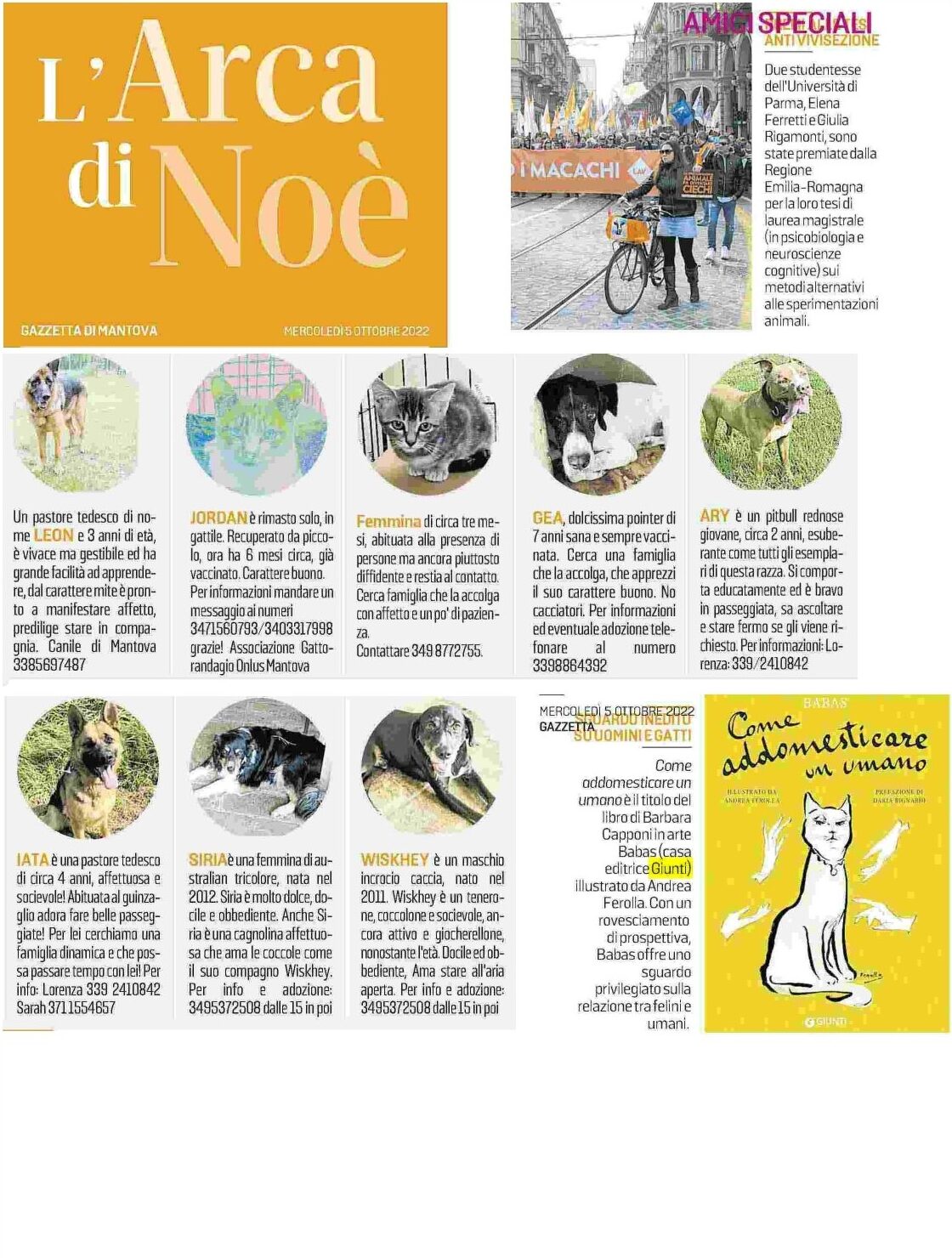 arca_di_noe